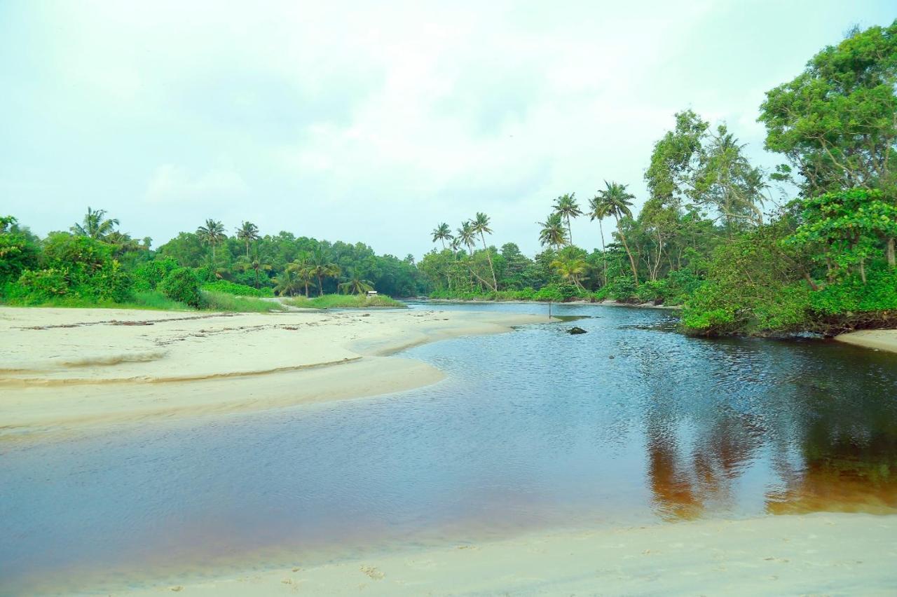 Telma Beach Homestay Mararikulam Buitenkant foto